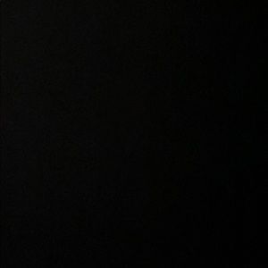 Meet your Posher, Maddy